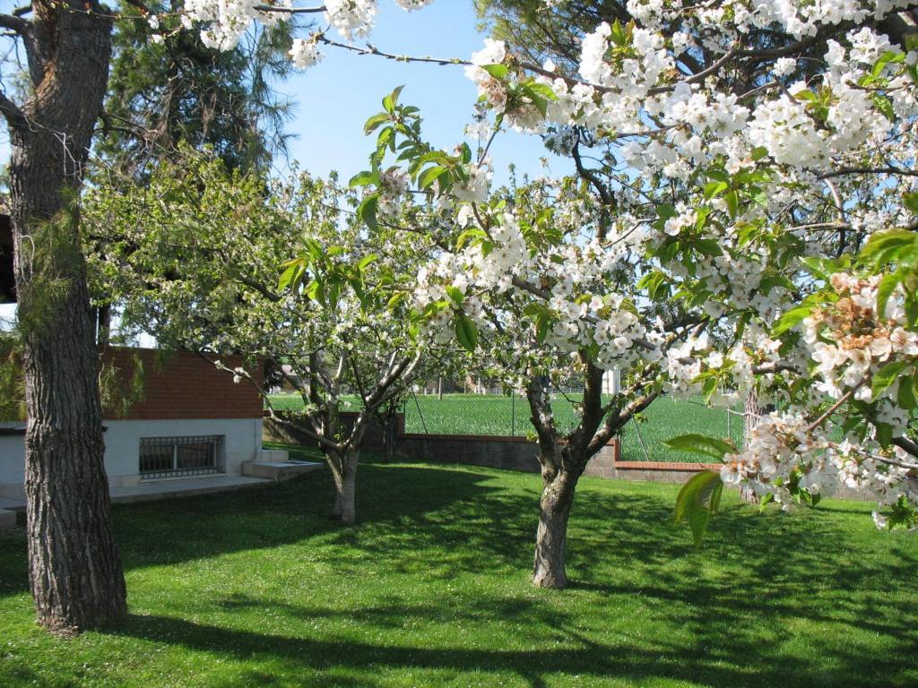 Bed & Breakfast Bompadre Civitanova Marche Luaran gambar